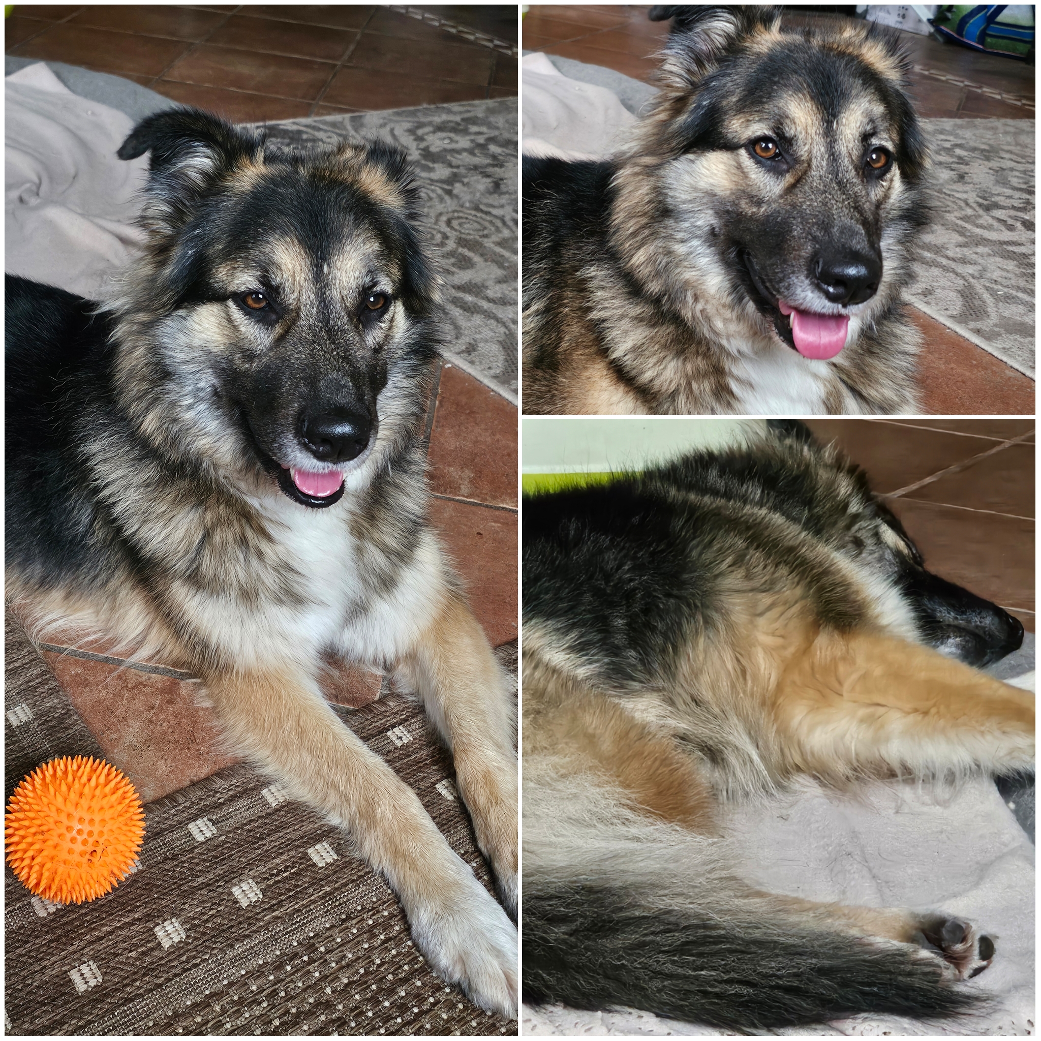 Lucy's New Home 02.jpg